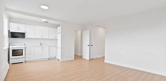 Bachelor Apartment for Lease – Woodbine / Danforth - Photo 2