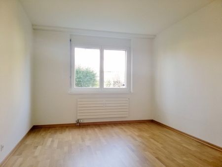 Belle vie - Foto 3