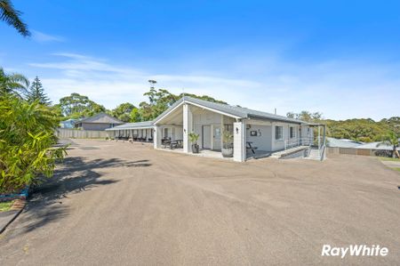 Beautifully Renovated One-Bedroom Studio - Bright, Stylish, and Coastal - Photo 4