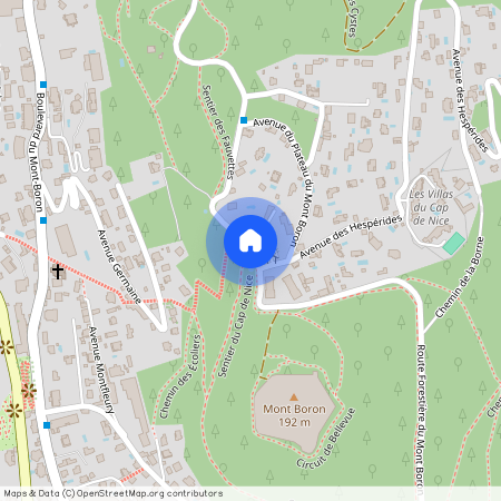 RT FORESTIERE MONT BORON, NICE MONT BORON