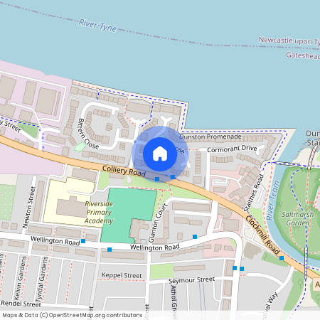 Grebe Close, Dunston, Gateshead, Tyne and Wear, NE11 9FE