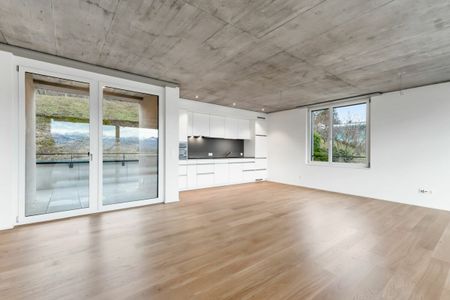 Engestrasse 14, 9436 Balgach - Photo 5