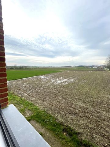 Nieuwbouw halfopen huis in Hollebeke - Photo 4