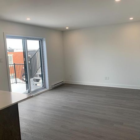 Appartement Grand 3 1/2 à Laval à louer - Photo 3