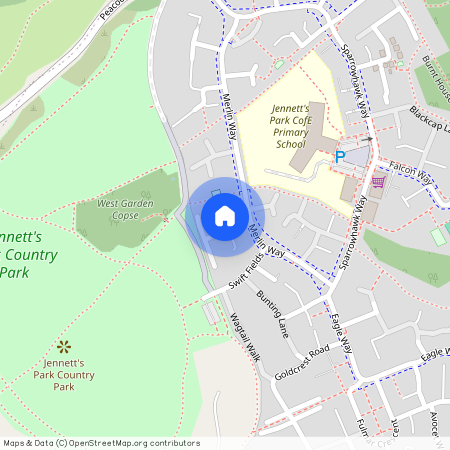 Pipit Green, Bracknell, RG12 8BY