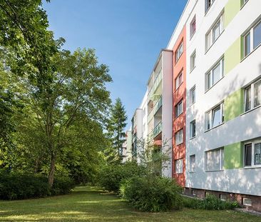 Burger Hof 4 - Harzer-Karree - Foto 6