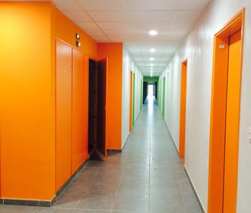 Location Appartement 1 pièce 24m² NARBONNE 11100 - Photo 1