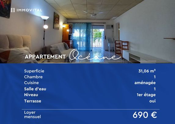 Location Appartement 1 pièce 31m² LE MOULE 97160 - Photo 1