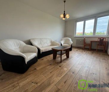 Pronájem krásného bytu 2+1 se zasklenou lodžií po rekonstrukci - Photo 2
