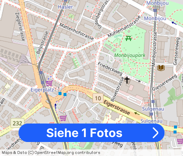 Ruige apartment in the city of Bern - Foto 1