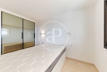 Ground floor apartment for rent in Palmanova