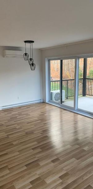 Superbe logement 5 1/2 à St-Nicolas, 2ème étage, climatisé, 2 STATIONNEMENTS EXTÉRIEURS INCLUS, LIBRE LE 1IER JUILLET 2026 - Photo 1