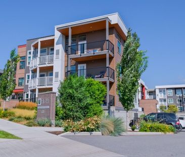 University District: U8 – Top Floor, 1 bed, 1 bath - Photo 5