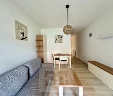 Apartment for rent, 1+KK - Studio, 40m - Photo 2