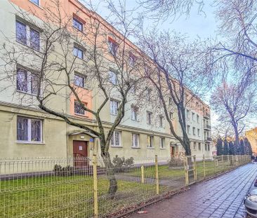 Apartment downstairs - For Rent/Lease - Lodz, Poland - Zdjęcie 3