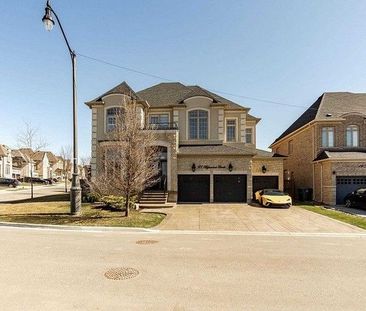 For Lease - 21 Agincourt Circle Unit# Basement, Brampton, Ontario - Photo 6