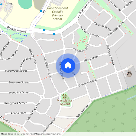 17 Basil Street, Qld 4300, Springfield Lakes