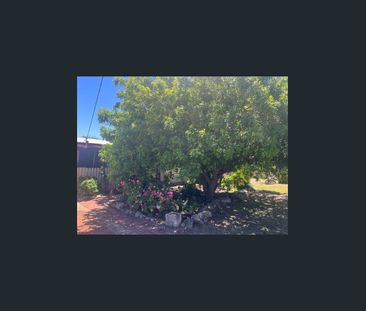 40 Dower Street, Mandurah, WA 6210 - Photo 2