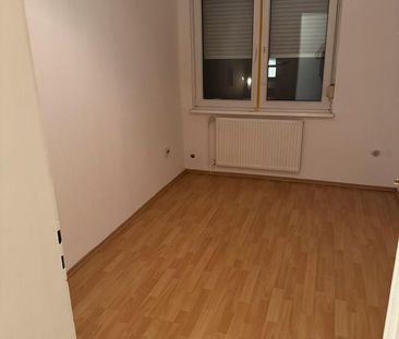 Drei Zimmerwohnung in Bonn, Auerberg - Photo 1