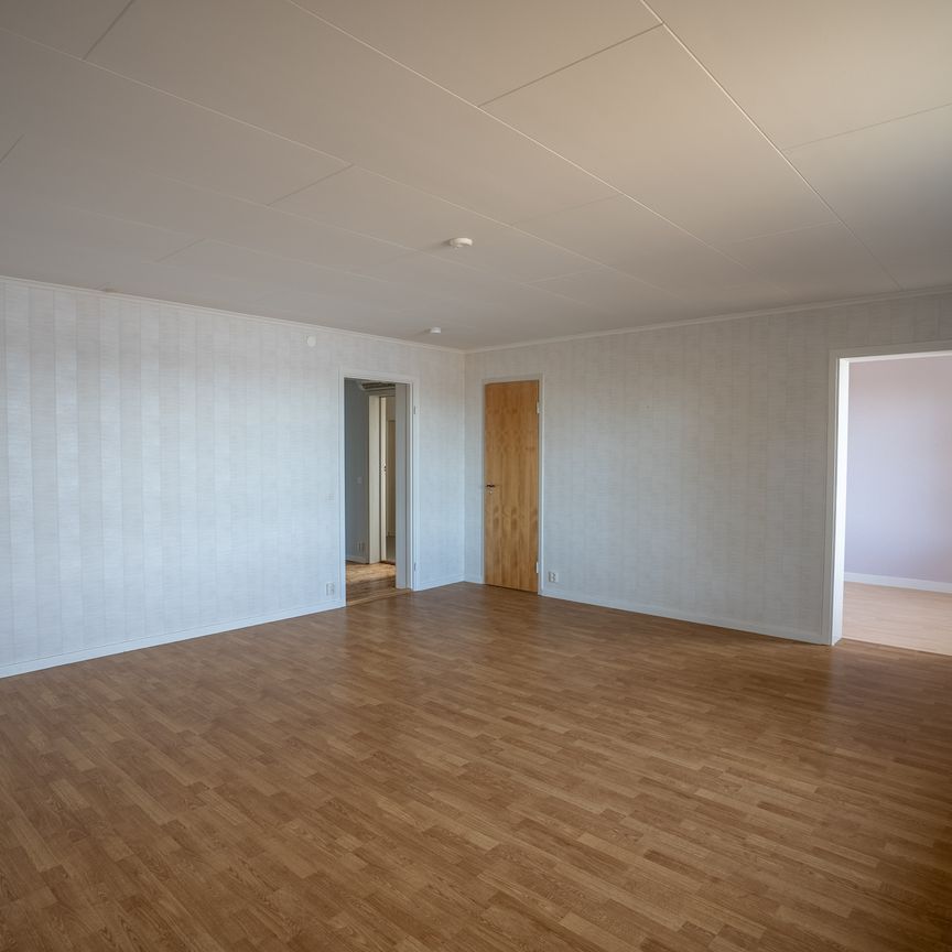 Marieberg, Bjärtrå - Foto 1