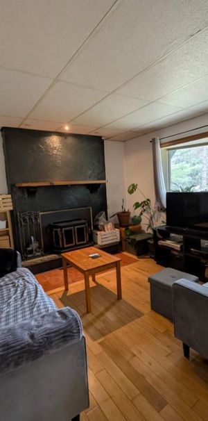 5 1/2 foyer (wifi inclus) terrain bordé d'un étang - Photo 1