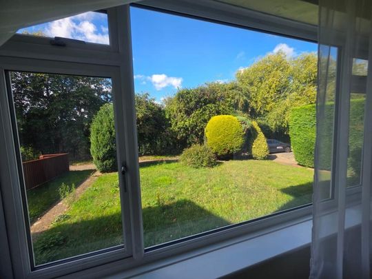 3 bedroom semi-detached house to rent - Photo 1