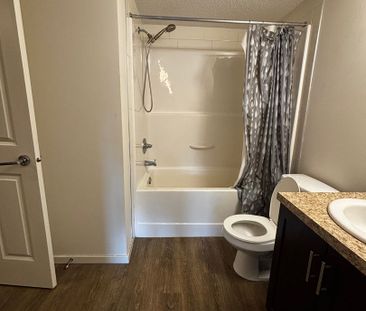 Modern 2 Bed, 2 Bath Condo in Copperfield – $1,750/mo – Hot Water I... - Photo 6