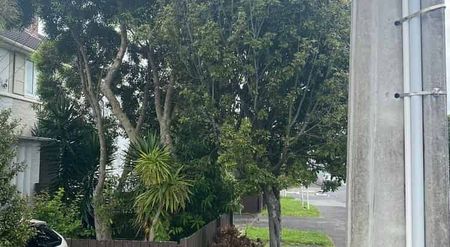 Charming 4BR Home in Mt. Eden - Photo 2