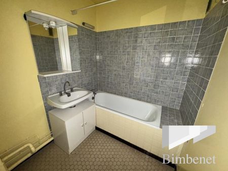 Appartement à louer, 1 pièce - Orléans 45000 - Photo 3