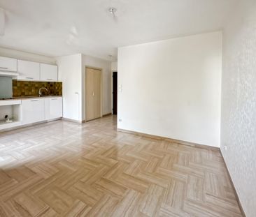 Location Appartement 1 pièce 24m² ANTIBES 06600 - Photo 2