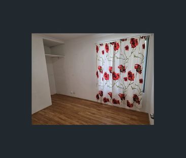 Renovated 2 Bed Granny Flat With back Yard. Available Now ! - Photo 1