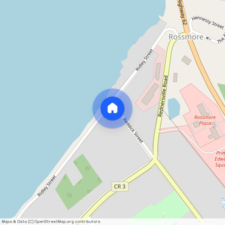 51 Reddick Street, Prince Edward County