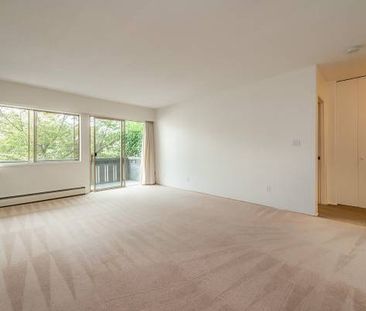 Edgemont Villa - 1 Bedroom - Available Now - Photo 3