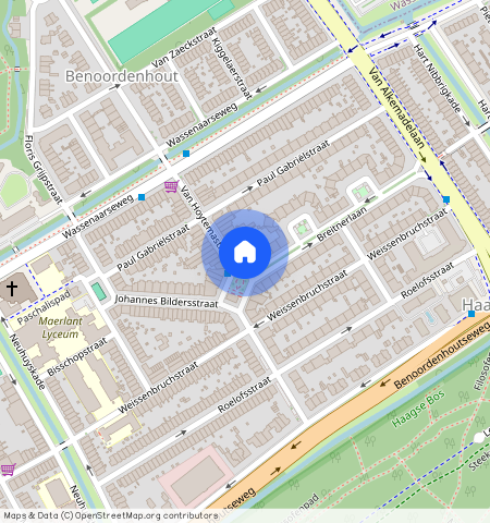 Van Hoytemastraat en omgeving, 2596 EN, Van Hoytemastraat, Den Haag