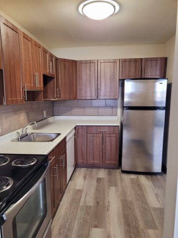 Manitoba, 1010 Brazier Street, R2K 2P4, Winnipeg - Photo 4