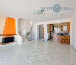 Μονοκατοικία για ενοικίαση - Βύρωνας, - Photo 5