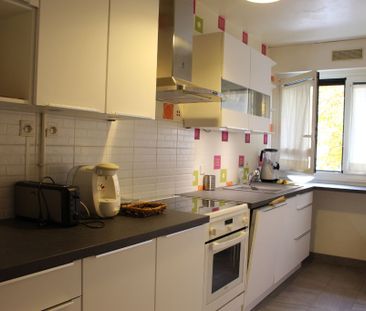 Location appartement 2 pièces, 47.00m², Issy-les-Moulineaux - Photo 3