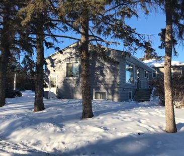 TWO BDRMS MAINFLOOR FOR RENT IN RADISSON HEIGHTS! - Photo 4
