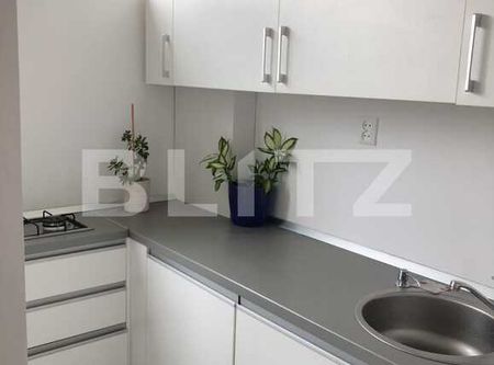 Garsoniera de 27 mp, parcare, mobilata modern, zona strazii Detunata! Disponibila din Aprilie - Photo 4