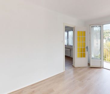 Appartement à louer 2 pièces • 38,92 m 2 Saint-Étienne - Photo 3