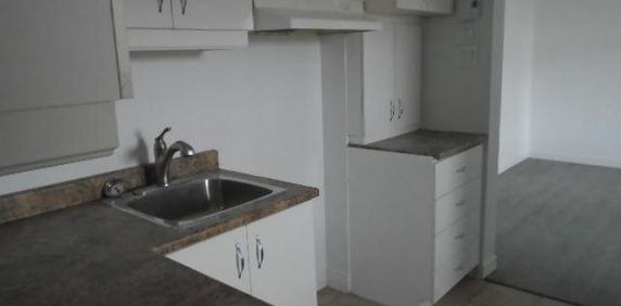 5 ½ 1483 rue Dufresne et Maisonneuve Montréal LIBRE - Photo 2