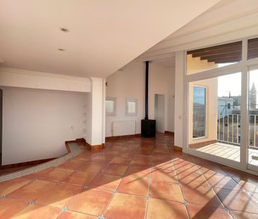 Ático con terraza, un dormitorio, ascensor y posibilidad de parking... - Photo 4