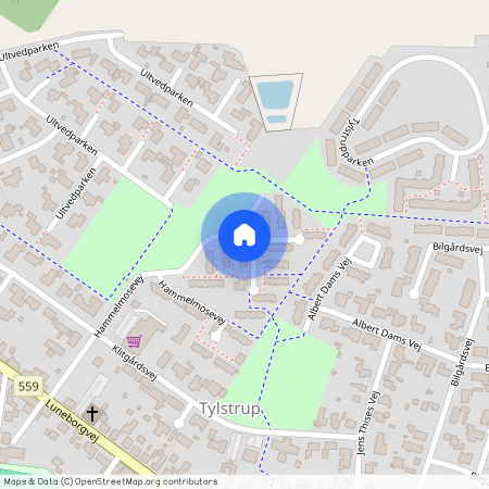 Hammelmosevej 40, 9382 Tylstrup