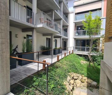 Moderne 2-Zimmer Penthouse mit Terrasse! - Photo 6