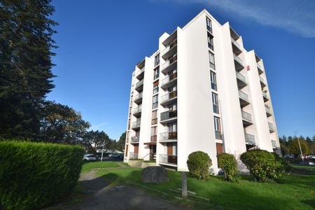 Location Appartement 1 pièce 26m² ST LO 50000 - Photo 5