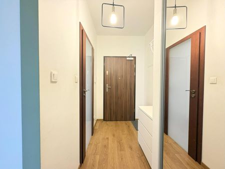 Łódź - Mieszkanie na wynajem - Zdjęcie 5