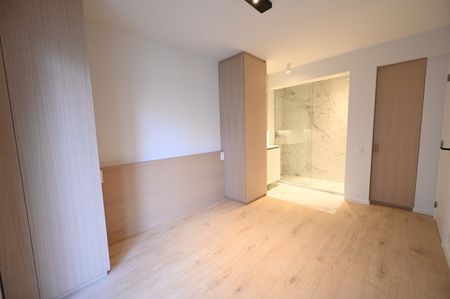 ONGEMEUBELD - NIEUW - Luxueus gerenoveerd appartement met 3 slaapkamers en met een OPEN ZICHT op het Burgemeester Frans Desmidtplein. - Foto 4