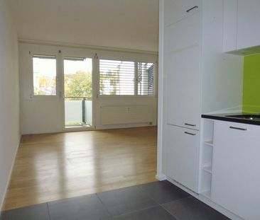 Big City Life in Gundeli - Photo 2