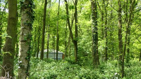 Cozy Chalet stijl hoeve op 1,5 hectare bos + weiland - Foto 4