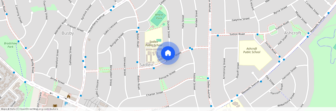 23 Insignia Street, NSW 2168, Sadleir